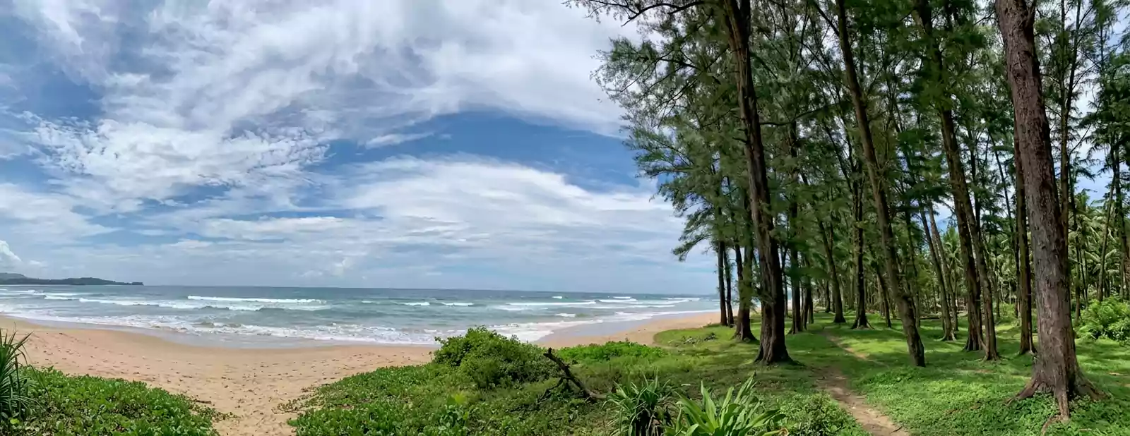 Luxurious villas in Konkan